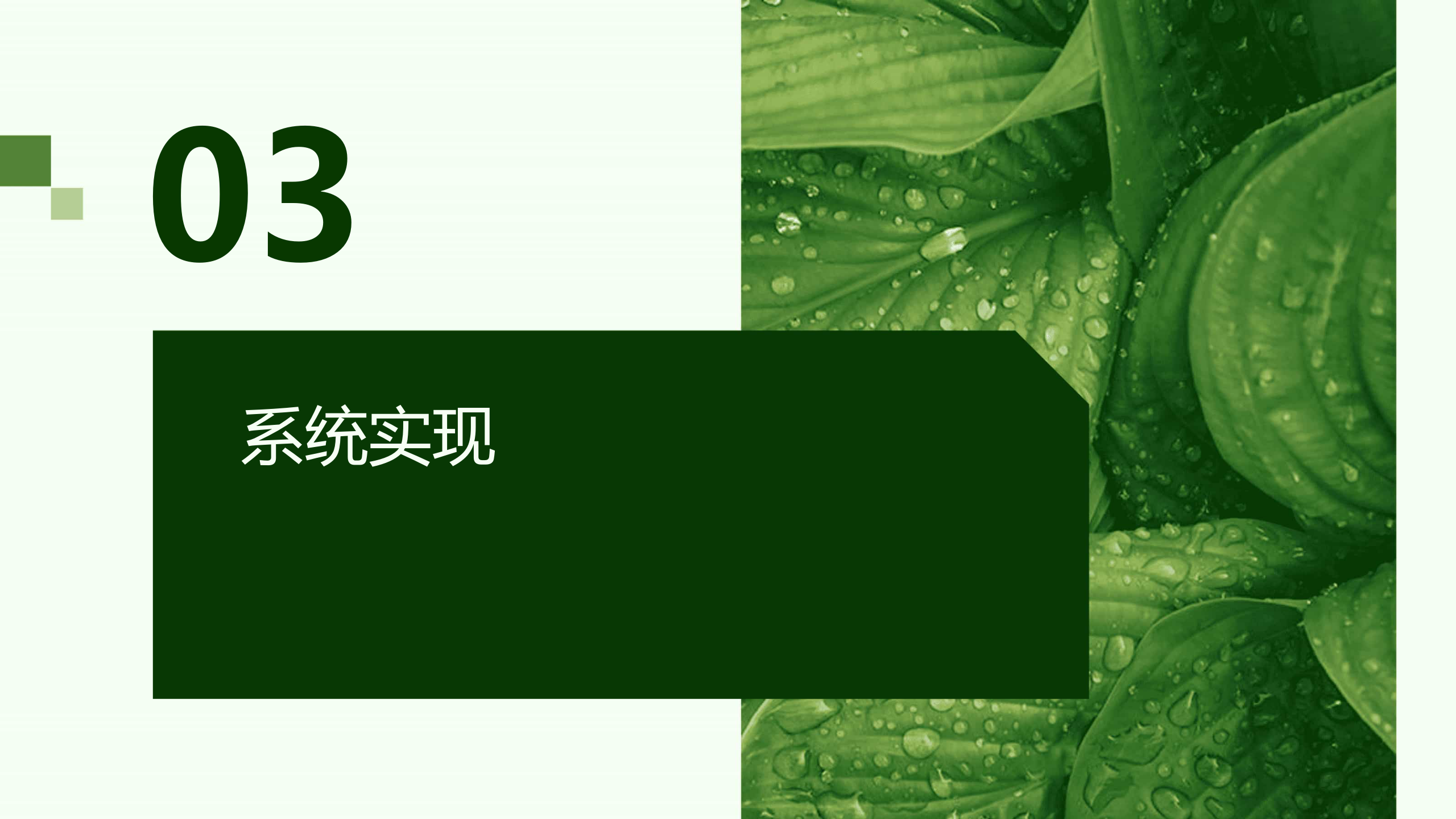 PPT
