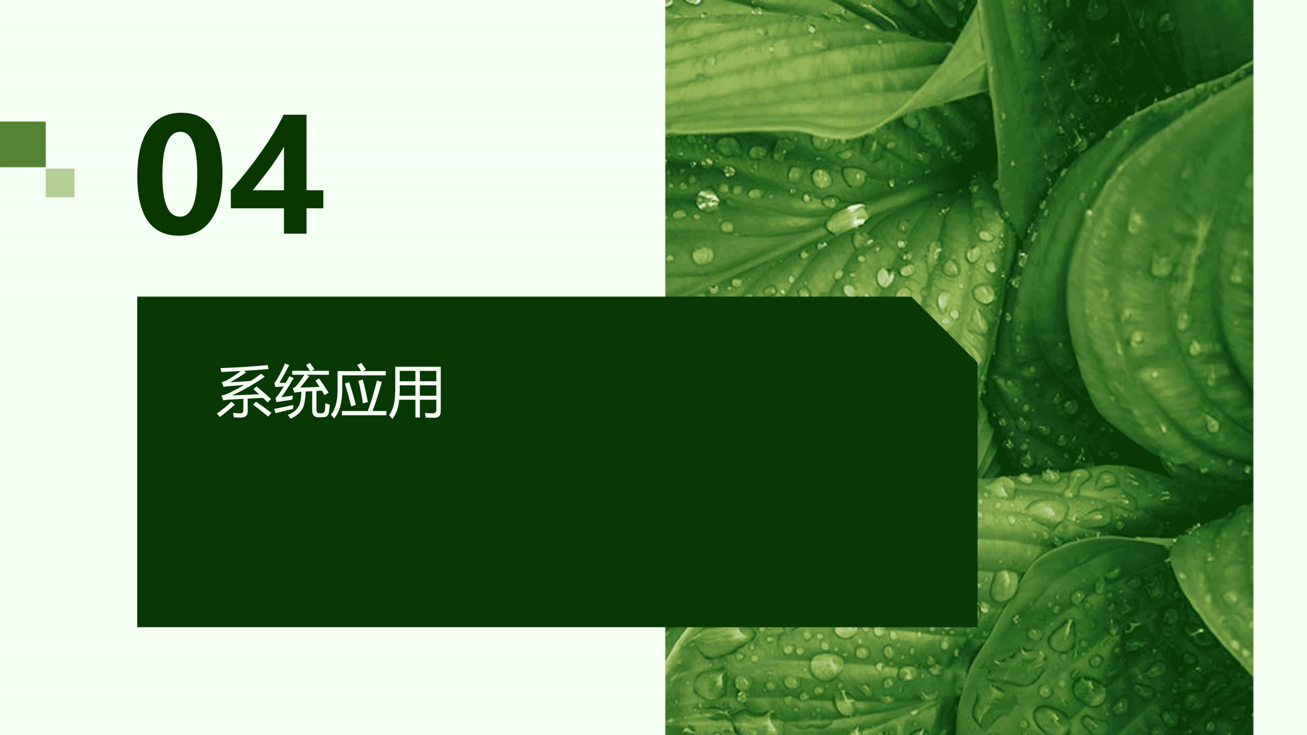 PPT