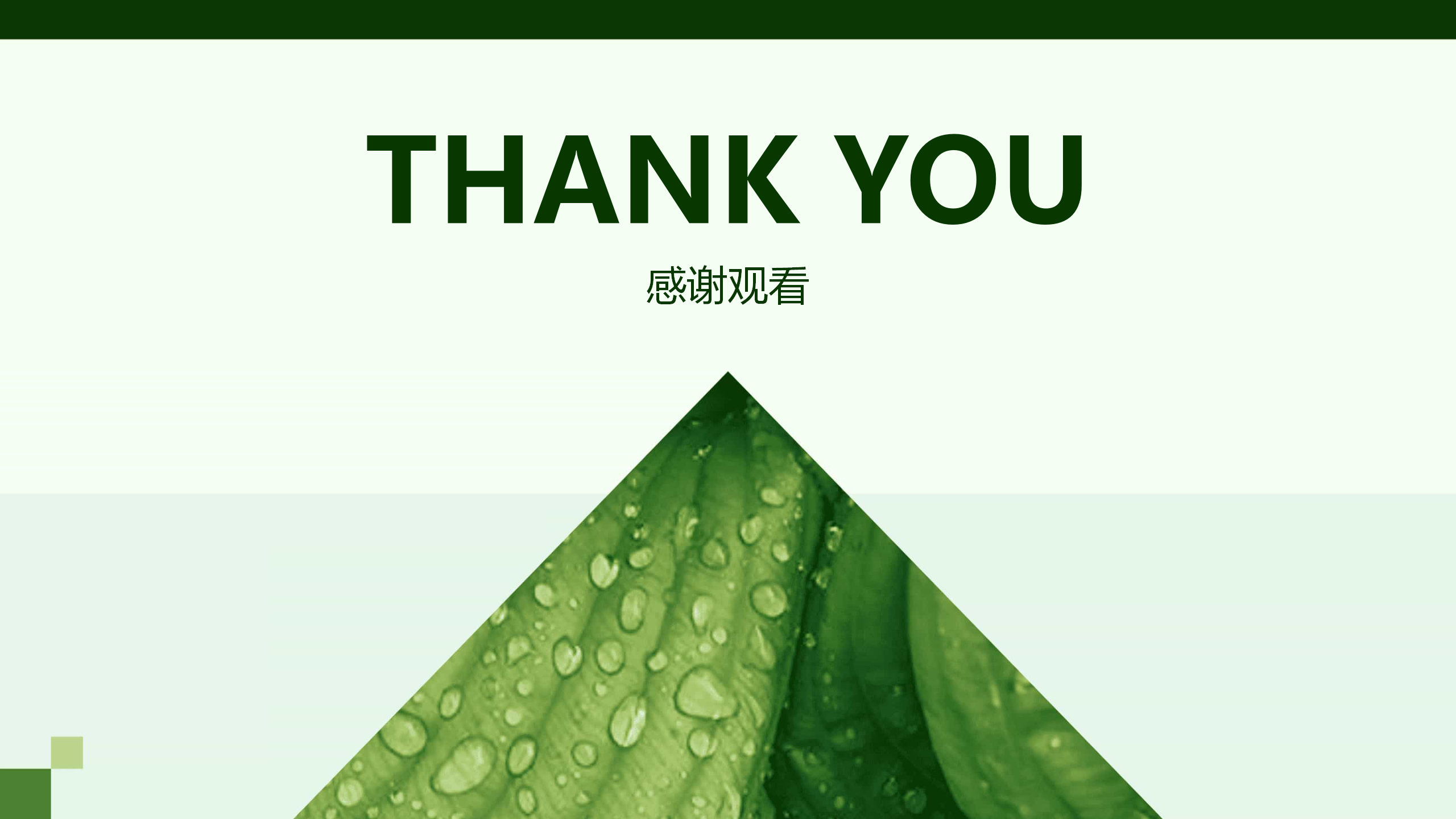 PPT