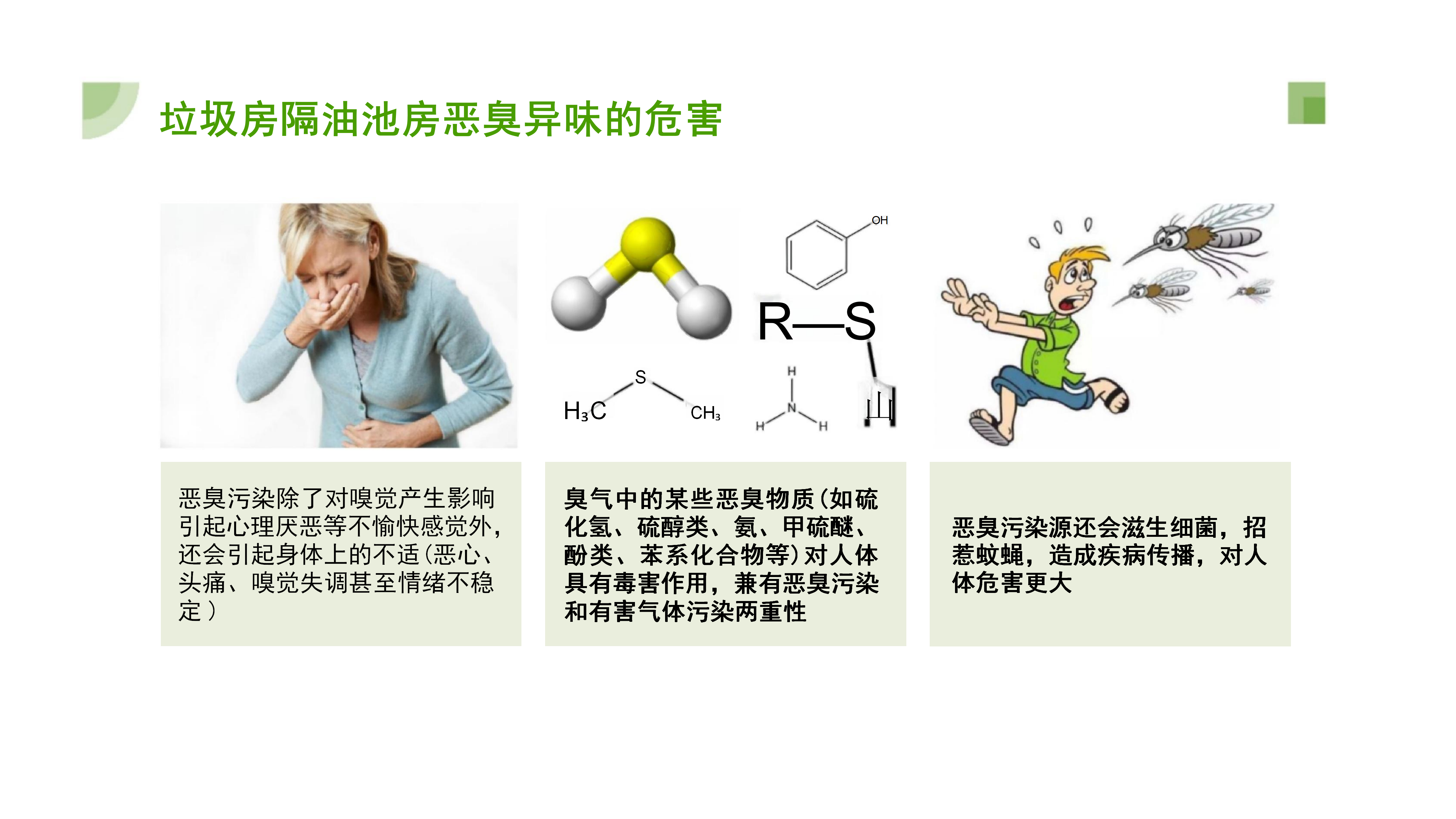 PPT