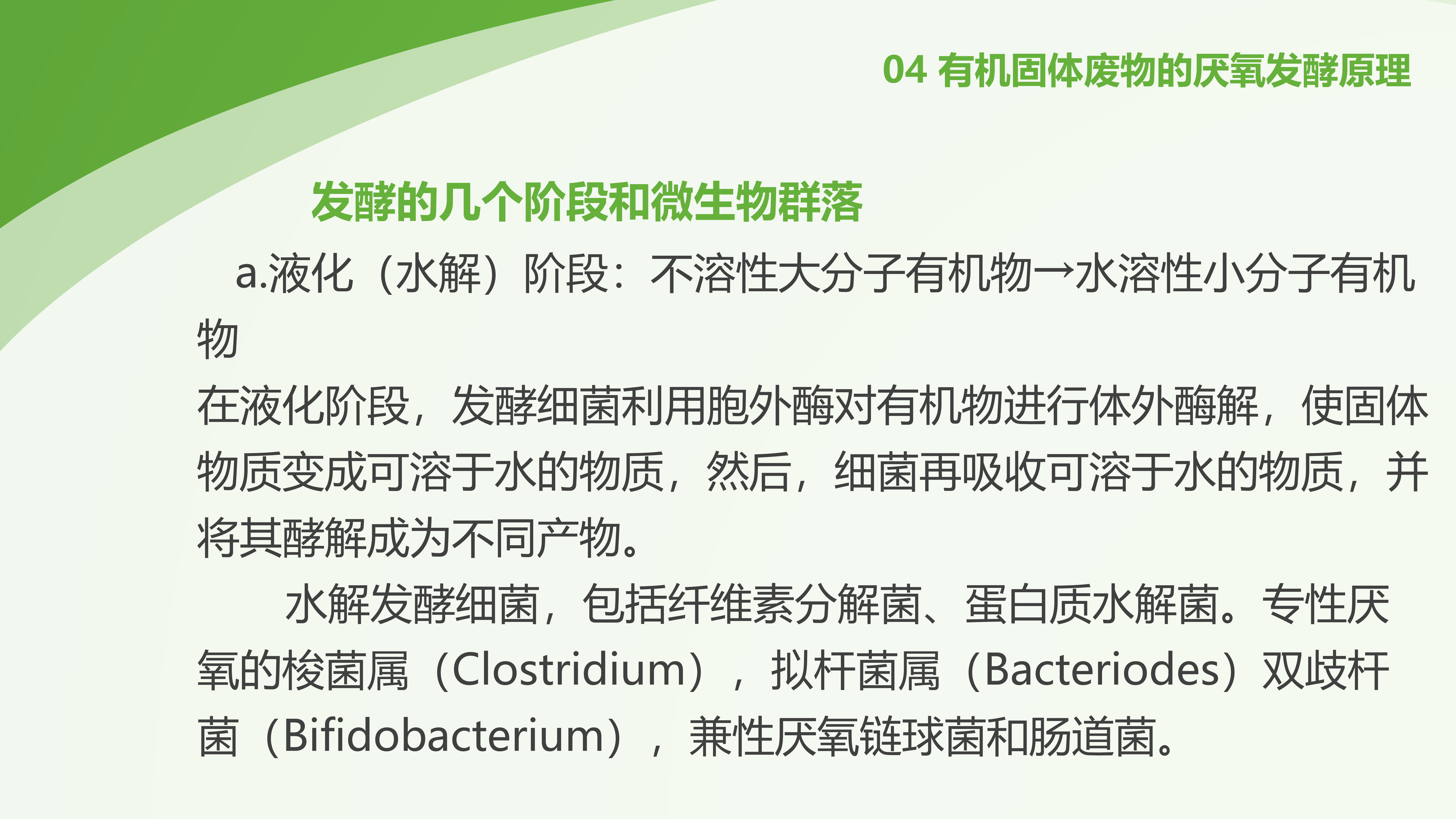 PPT