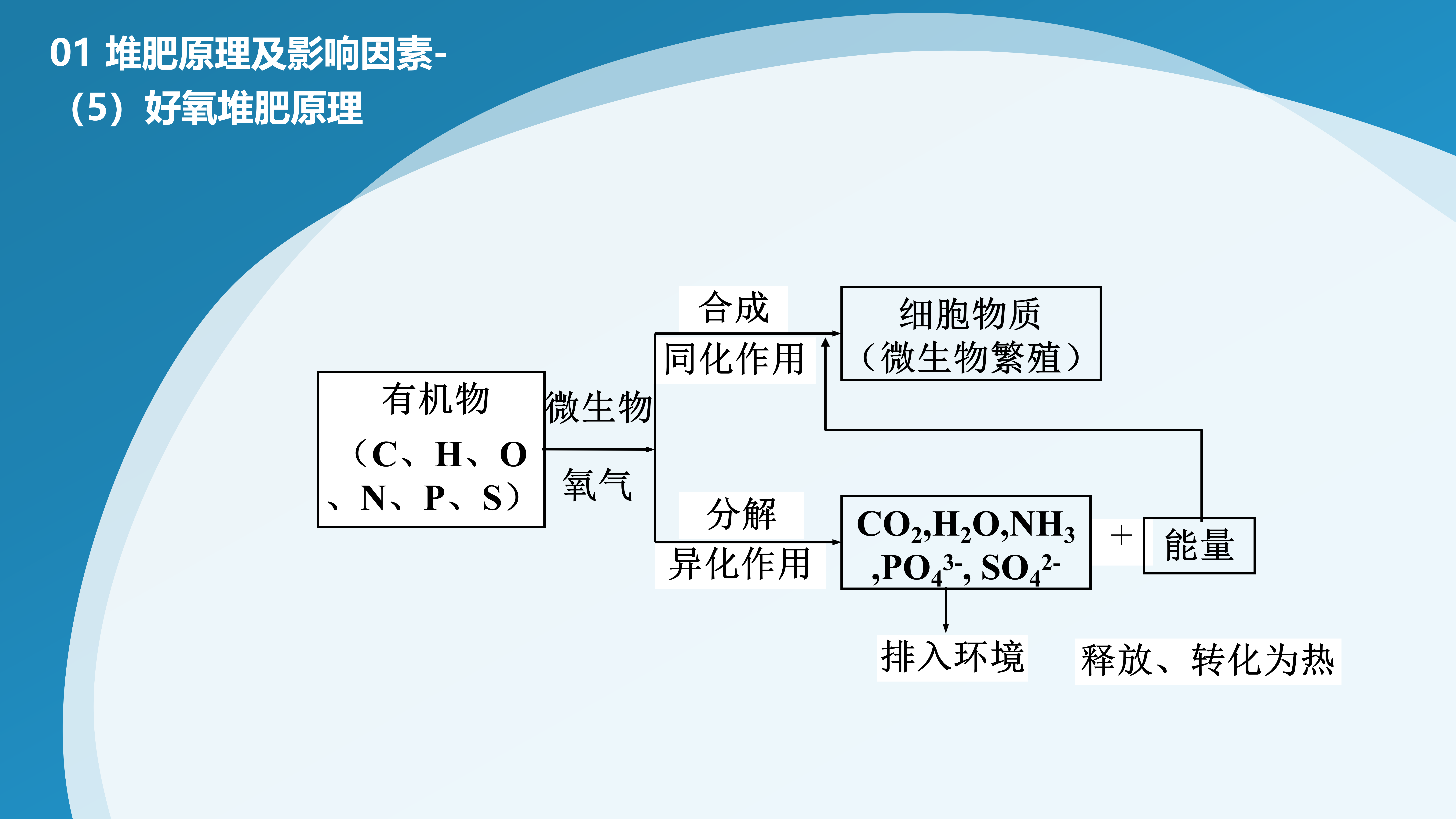 PPT